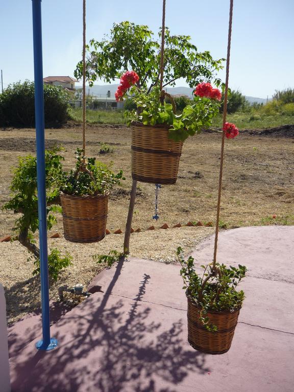 فيلا Haraki Vineyard المظهر الخارجي الصورة